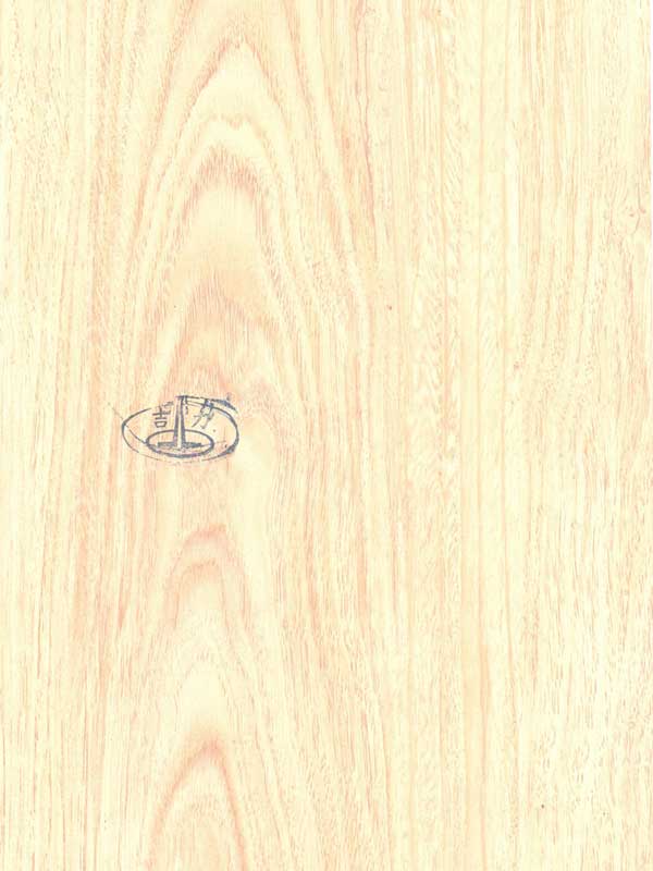 Tiger Floor No.0305