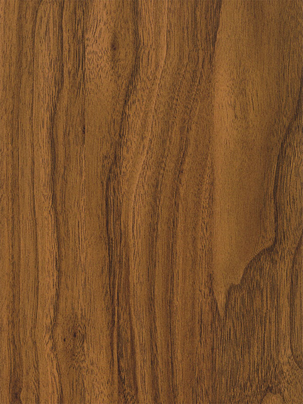 Tiger Floor No.1569