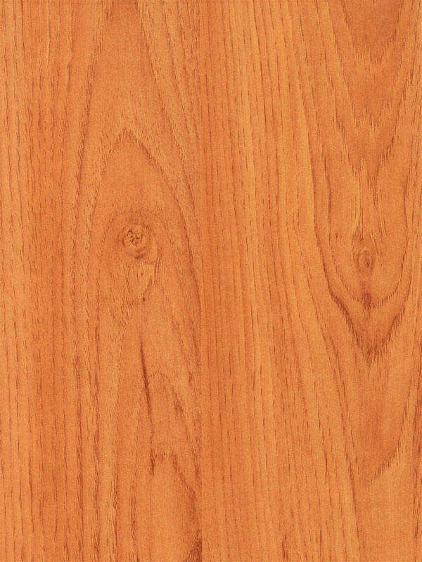Tiger Floor No.2158