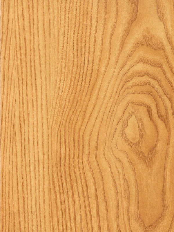 Tiger Floor No.3036