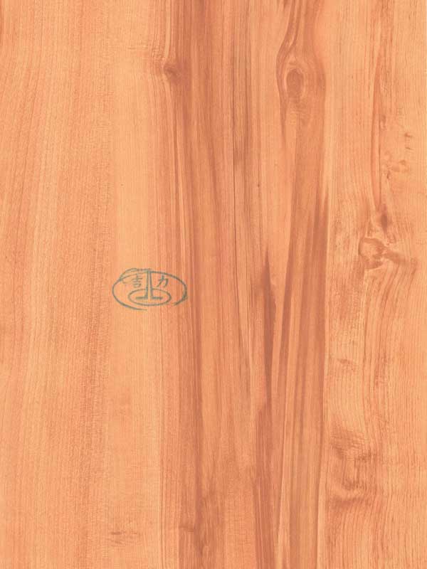 Tiger Floor No.5937