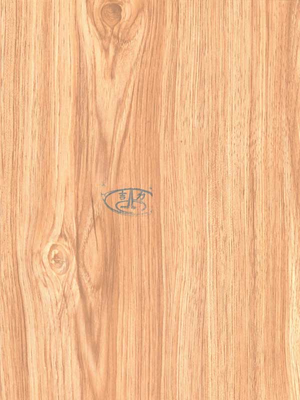 Tiger Floor No.9615